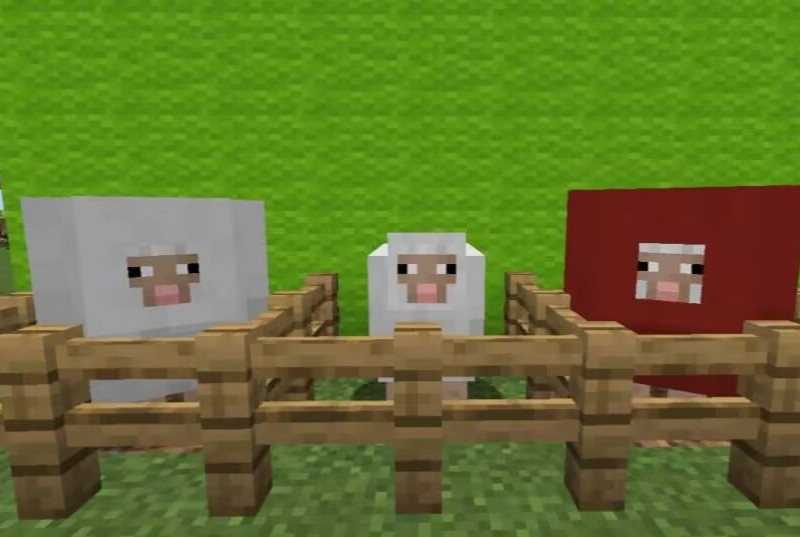 Minecraft Mod : Awesome Sheep Swell 2