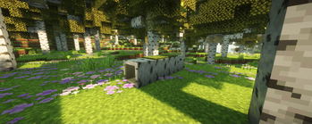 Minecraft Mod : Better Birch Forest 2