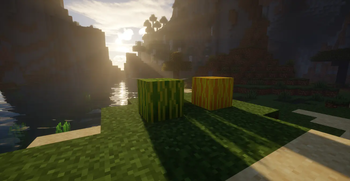 Minecraft Mod : Better Melon 6
