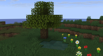 Minecraft Mod : Biome Shift 4