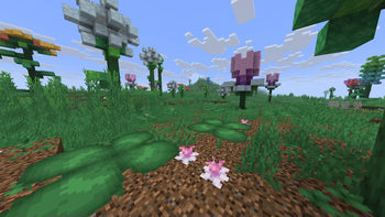Minecraft Mod : Biomes O' Plenty 10