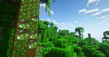 Minecraft Mod : Bountiful Fares 5