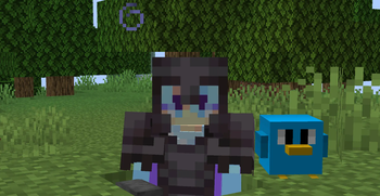 Minecraft Mod : Blocky Birbs 1