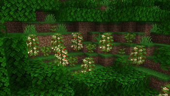 Minecraft Mod : Caffeinated 1