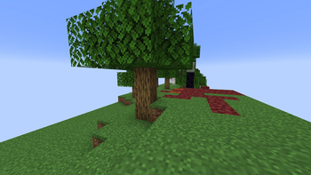 Minecraft Mod : Ant Farm Infinite 9