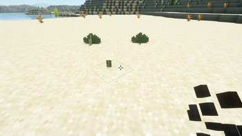 Minecraft Mod : CactusForage 4