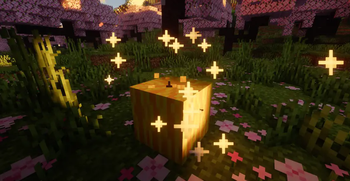 Minecraft Mod : Better Melon 1