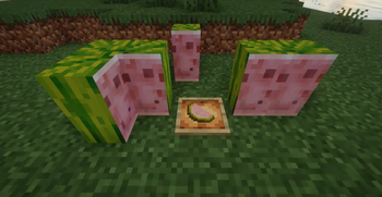 Minecraft Mod : Better Melon 4