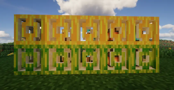 Minecraft Mod : Better Melon 5
