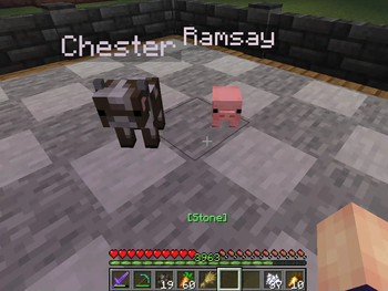 Minecraft Mod : Better Babies 5