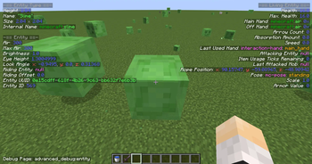 Minecraft Mod : Advanced Debug 13