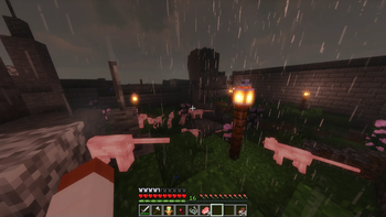 Minecraft Mod : Bingus & Floppa 11