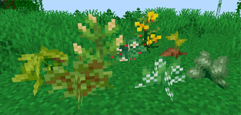 Minecraft Mod : Brazilian Delight 8