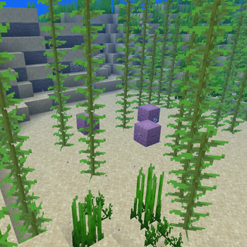 Minecraft Mod : Aquatic Shulkers 2