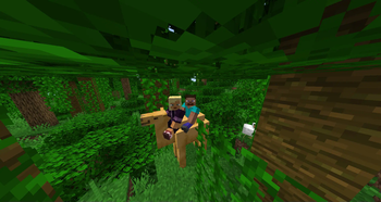 Minecraft Mod : Actually Camel 1