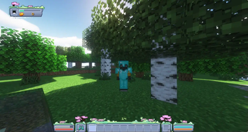 Minecraft Mod : BetterHud 11