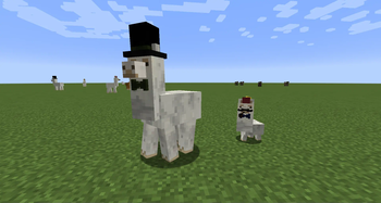 Minecraft Mod : Better Than Llamas 2