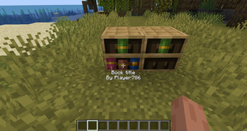 Minecraft Mod : Bookshelf Inspector 1
