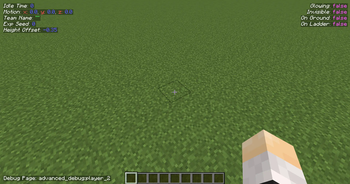 Minecraft Mod : Advanced Debug 3