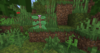 Minecraft Mod : Better Nature 3