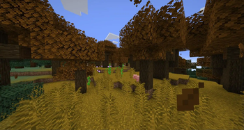 Minecraft Mod : Additional Biomes 3