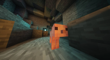 Minecraft Mod : Bingus & Floppa 3