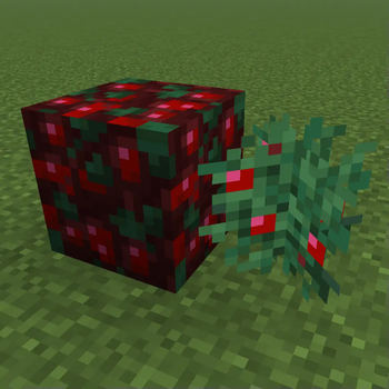 Minecraft Mod : Anything Blocks 2