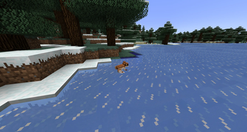 Minecraft Mod : Biome Vote Swamp 8