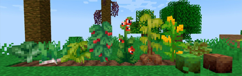 Minecraft Mod : Brazilian Delight 7
