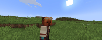Minecraft Mod : AFK Camera 3