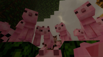 Minecraft Mod : Bingus & Floppa 8
