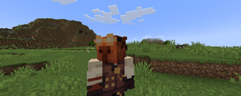 Minecraft Mod : AFK Camera 1