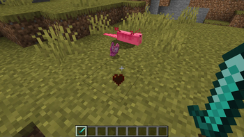 Minecraft Mod : Better Cooked Axolotls 3