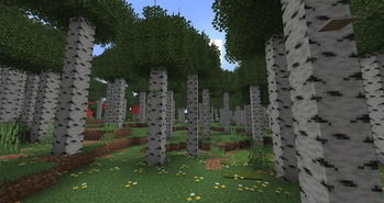 Minecraft Mod : Better Nature 7