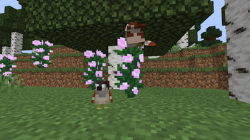 Minecraft Mod : Café's Birding 2