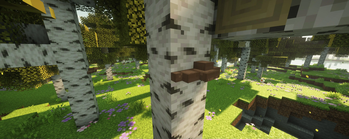Minecraft Mod : Better Birch Forest 3