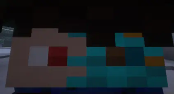 Minecraft Mod : (Home Jam) City Pigeon Origin 1
