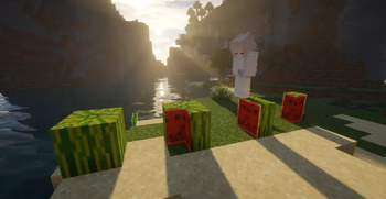 Minecraft Mod : Better Melon 9