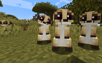 Minecraft Mod : Animal Garden - Meerkat 1
