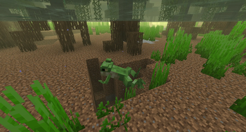 Minecraft Mod : Biome Vote Swamp 4