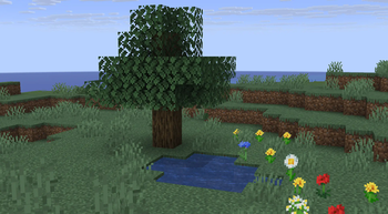 Minecraft Mod : Biome Shift 1