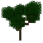 Better Trees