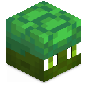 BactroMod
