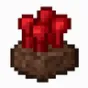 Auto Nether Wart
