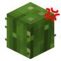 Cactus Nerfed