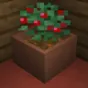 Botany Pots