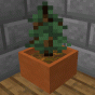 Botany Trees