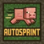 AutoSprintButton