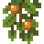 Minecraft Mod : Better Lush Caves